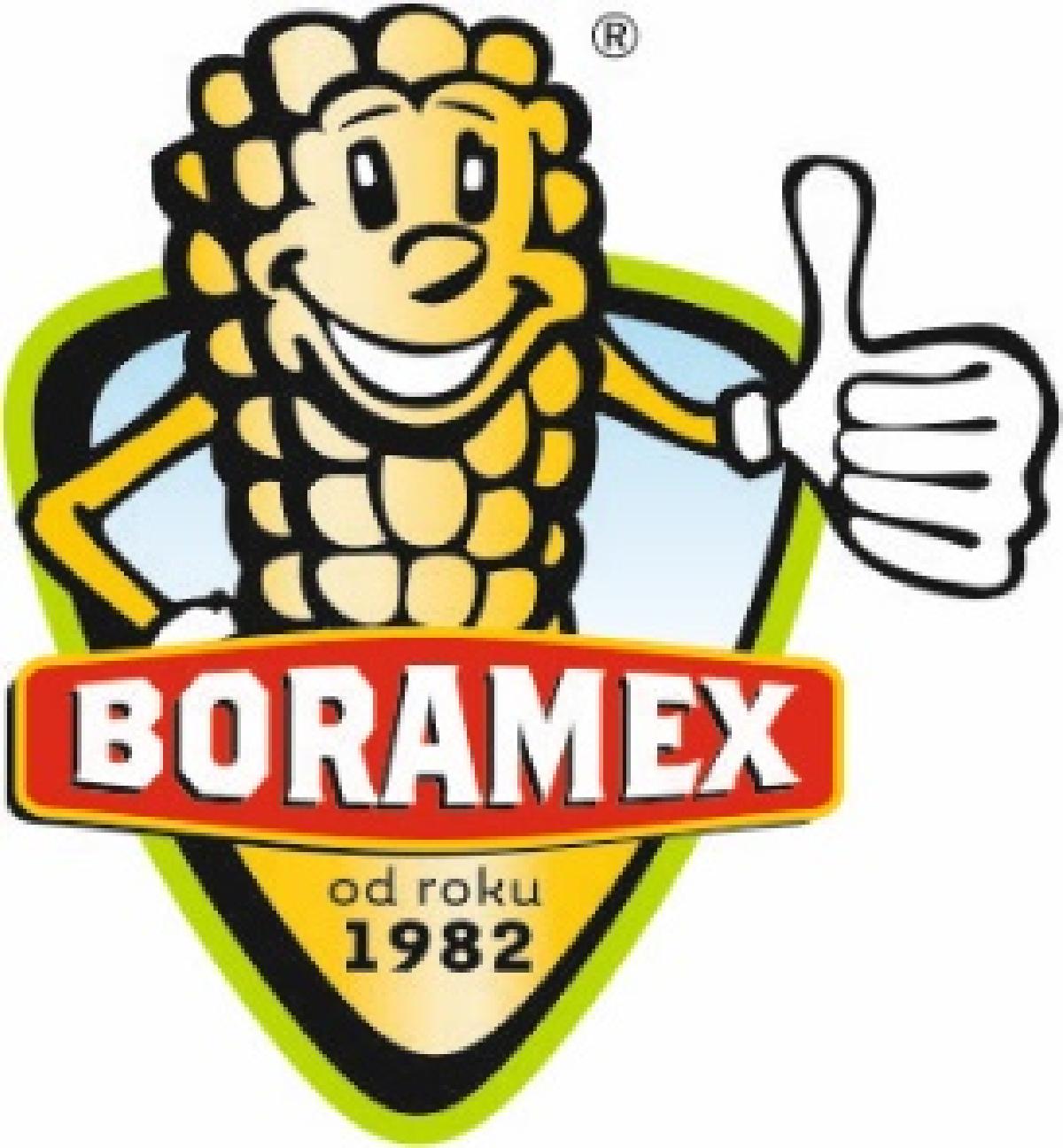 Logo Boramex